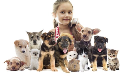 What it means when a child loses a pet. What it means when a child loses a pet.